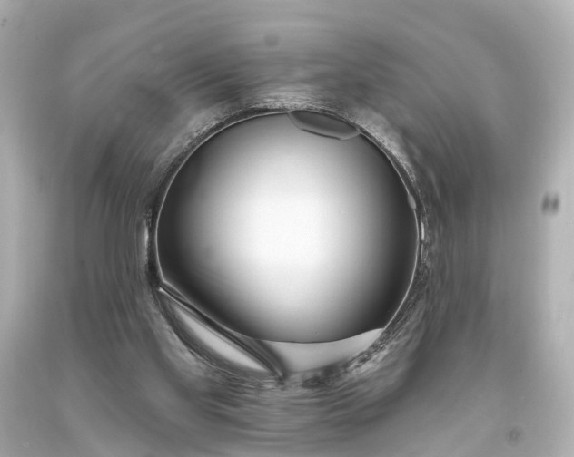 X0000094070109200711021519