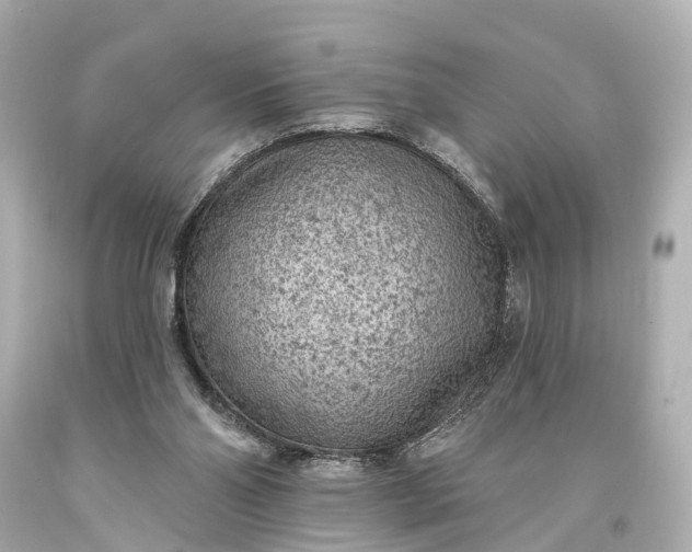 X0000094070110200711021519