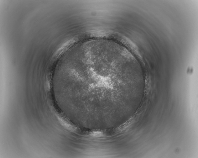 X0000094070114200711021519