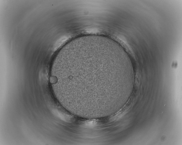 X0000094070116200711021519