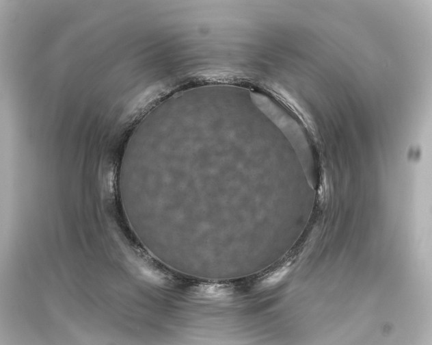 X0000094070117200711021519