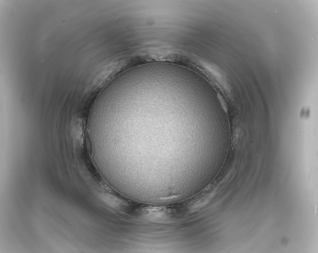 X0000094070121200711021519