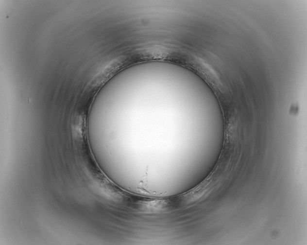 X0000094070122200711021519