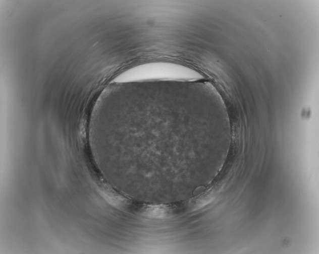 X0000094070127200711021519