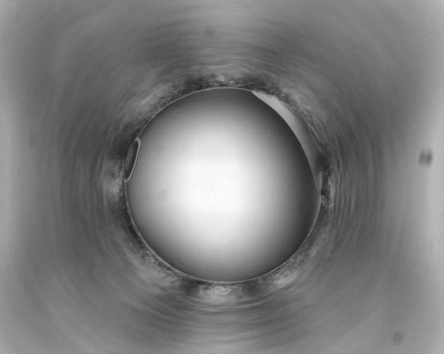 X0000094070129200711021519