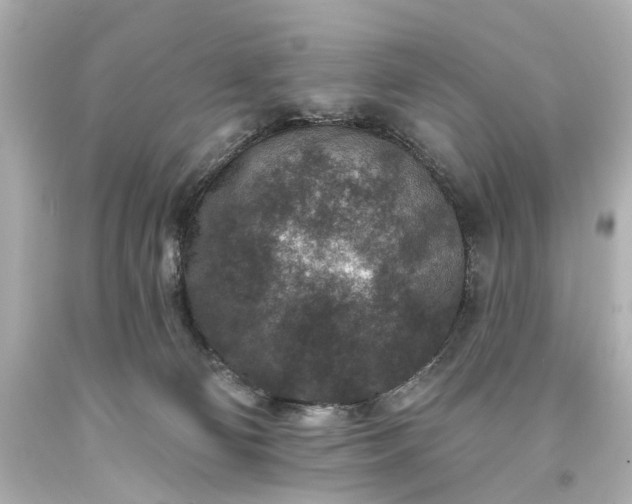 X0000094070130200711021519