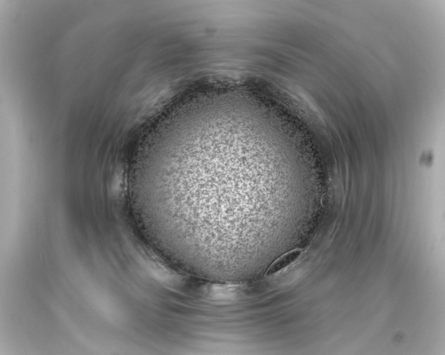X0000094070134200711021519