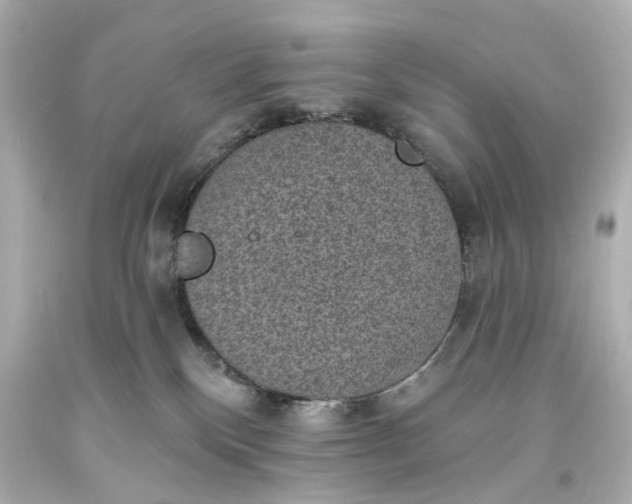 X0000094070136200711021518
