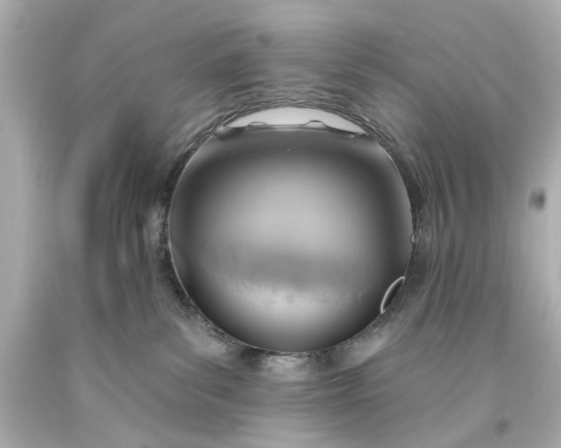 X0000094070139200711021518