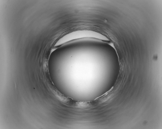 X0000094070141200711021518