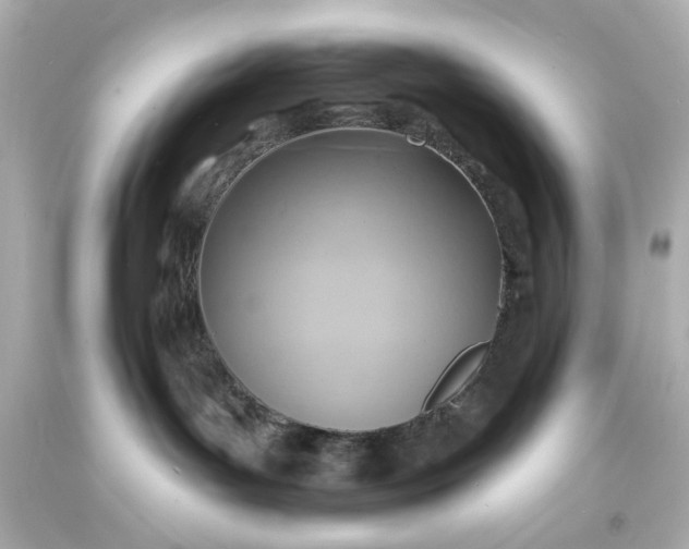 X0000094070143200711021518