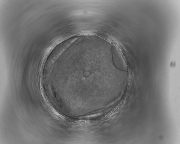 X0000094070145200711021518