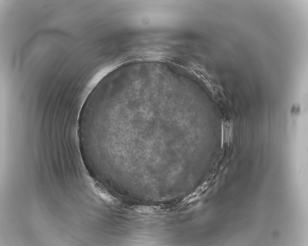 X0000094070147200711021518