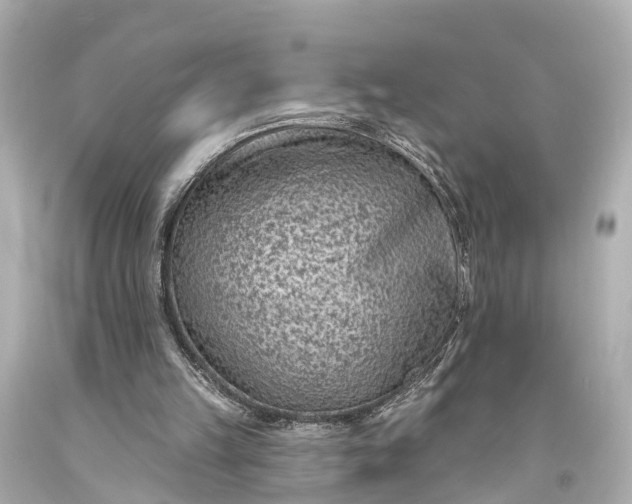 X0000094070149200711021518