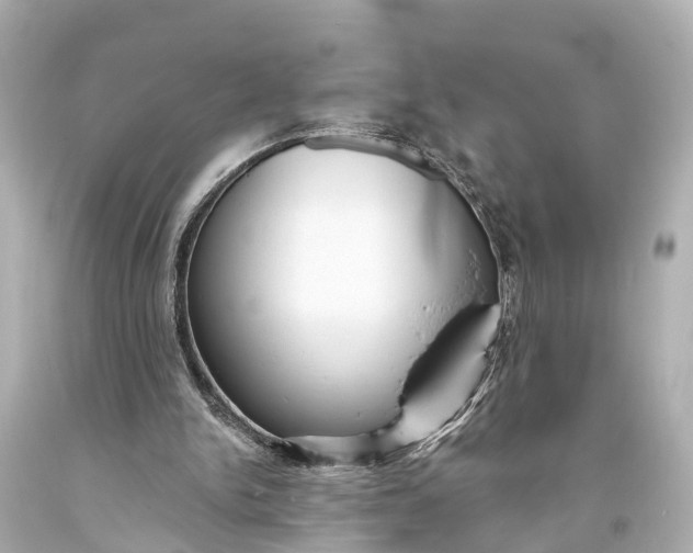 X0000094070150200711021518
