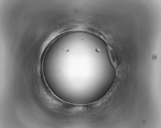 X0000094070152200711021518