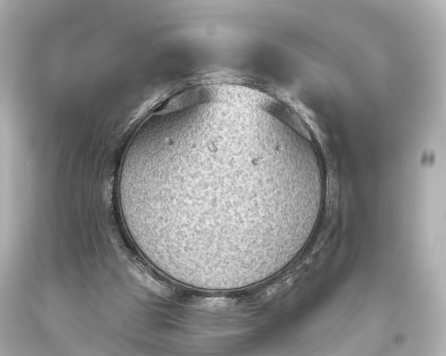 X0000094070153200711021518