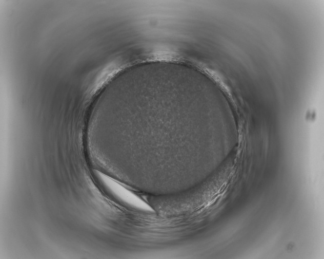 X0000094070154200711021518