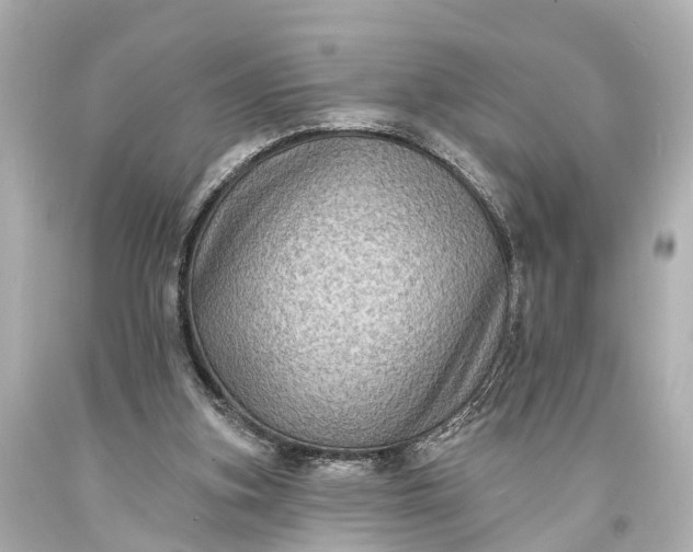 X0000094070155200711021518