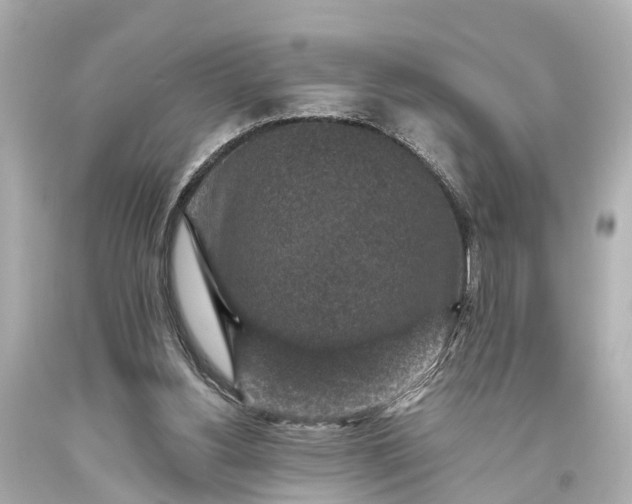 X0000094070156200711021518