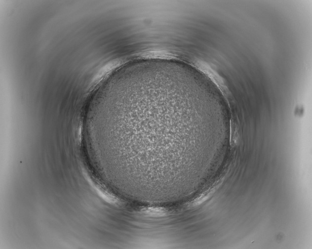 X0000094070157200711021518