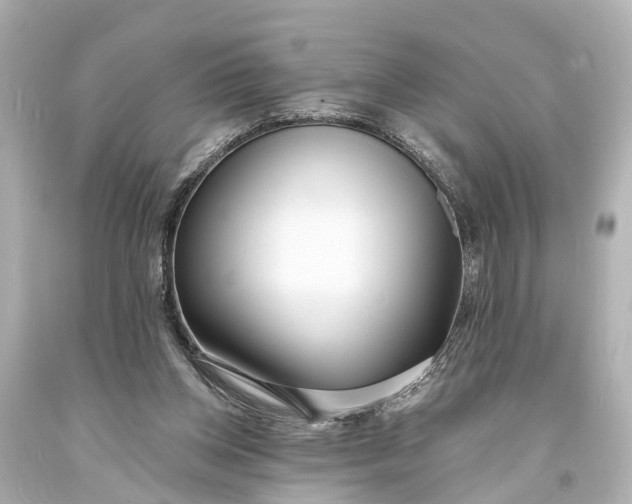 X0000094070158200711021518