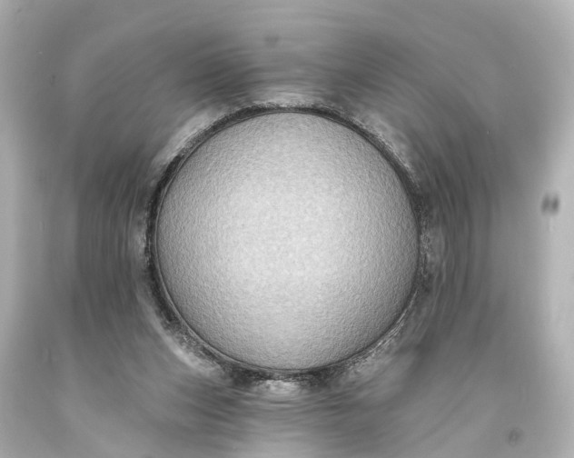 X0000094070159200711021518