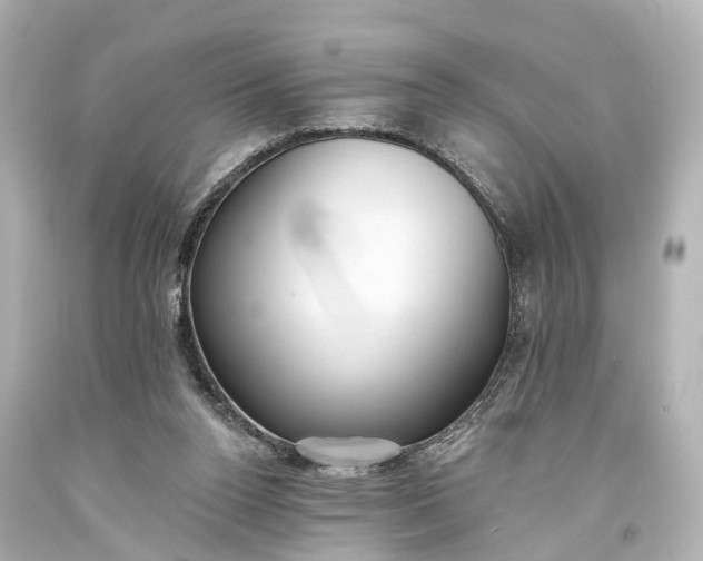 X0000094070160200711021518