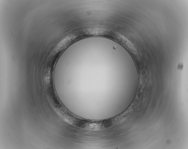 X0000094070163200711021518