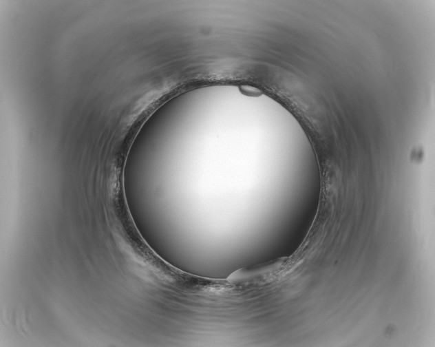 X0000094070164200711021518