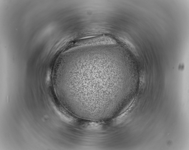 X0000094070166200711021518