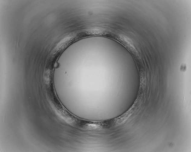 X0000094070167200711021518