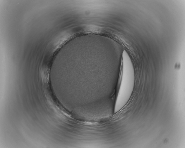 X0000094070168200711021518