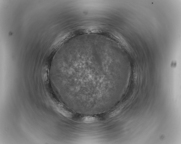 X0000094070169200711021518