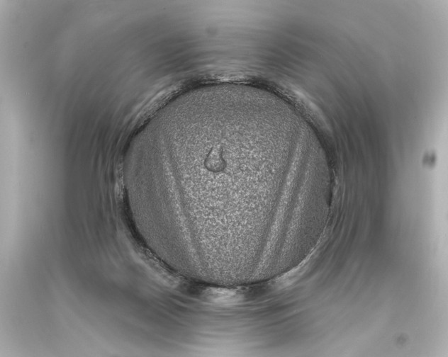 X0000094070170200711021518