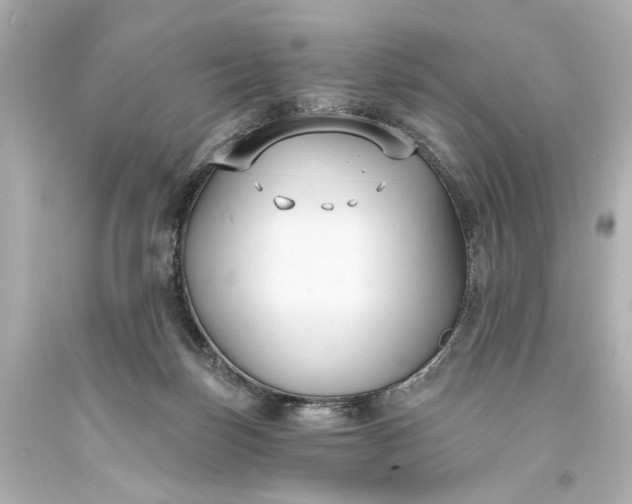 X0000094070171200711021518