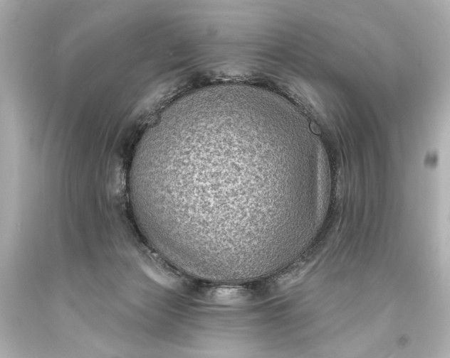 X0000094070173200711021518