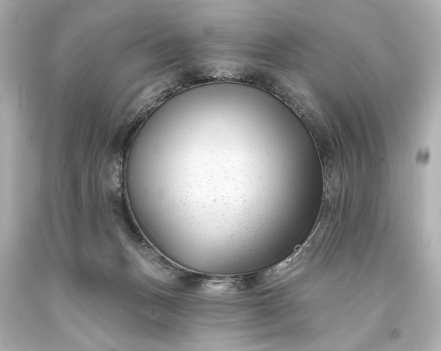 X0000094070175200711021518