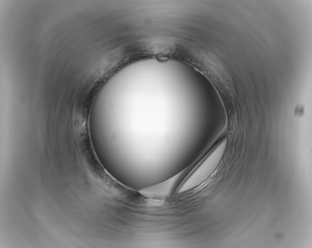 X0000094070176200711021518