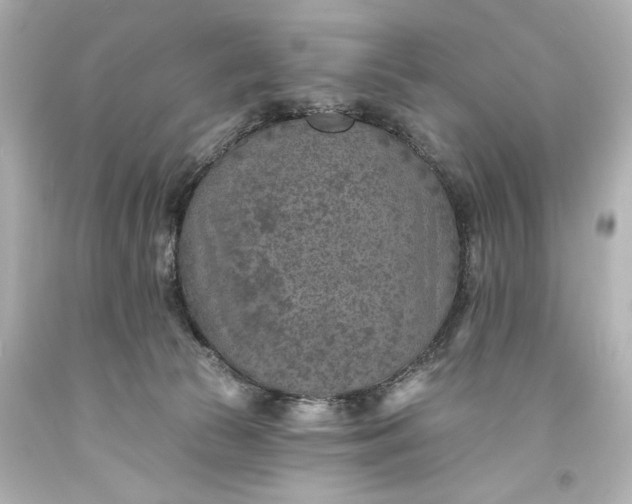 X0000094070177200711021518