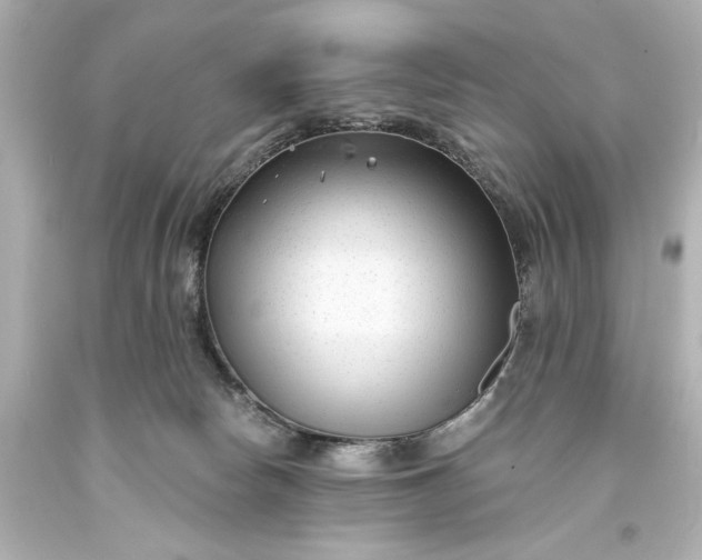 X0000094070178200711021518