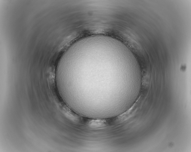 X0000094070179200711021518