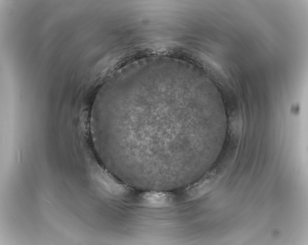 X0000094070181200711021518