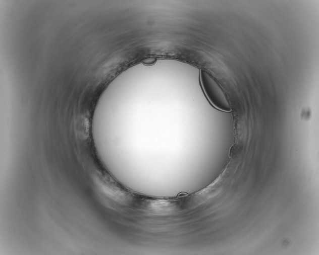 X0000094070183200711021518
