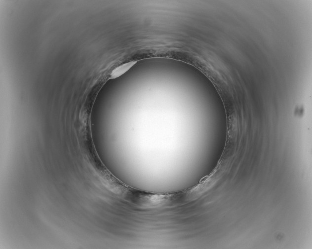 X0000094070184200711021518