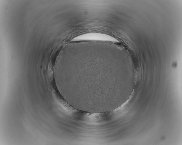 X0000094070186200711021518