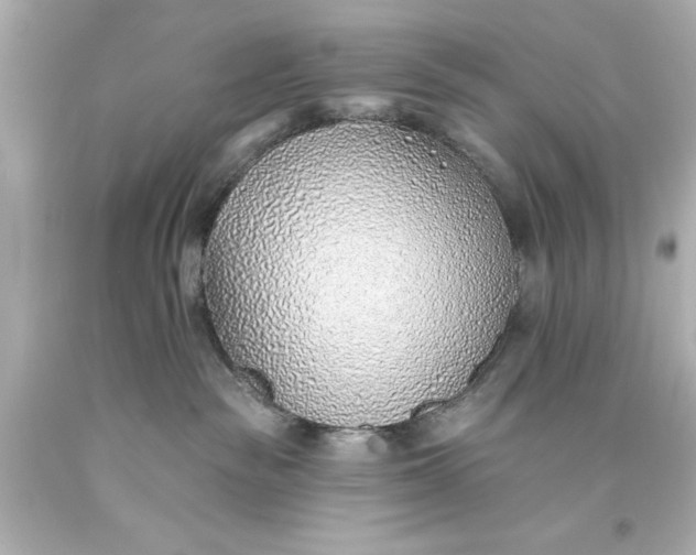 X0000094070189200711021518