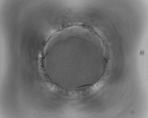 X0000094070192200711021518
