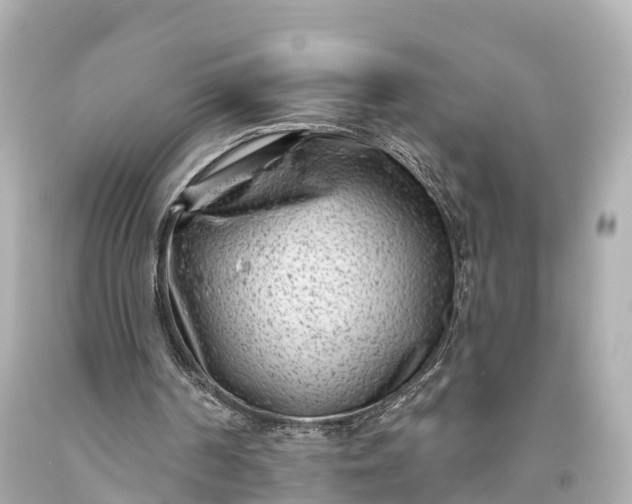 X0000094070194200711021518