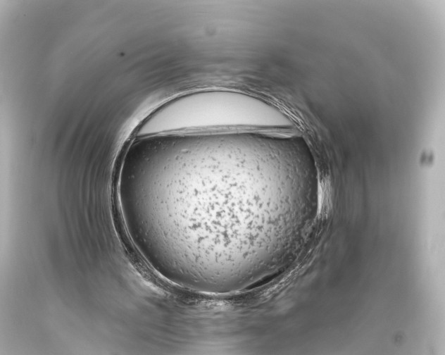 X0000094070195200711021518